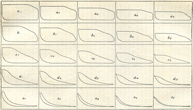 Fig. 182. - Diagrammes du travail de la vapeur correspondant à diverses positions du régulateur et du changement de marche.